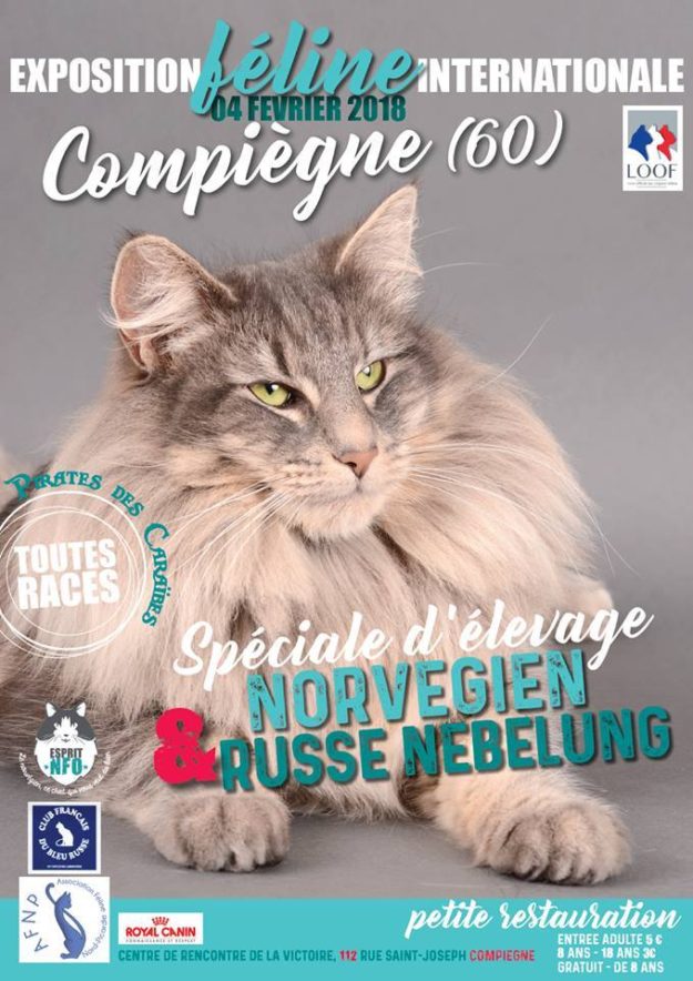 Exposition feline internationale compiegne